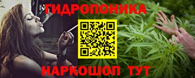 стафф Бердск