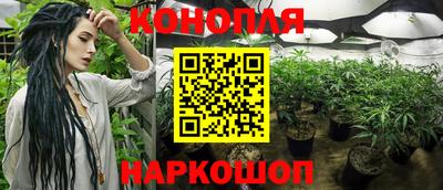 МДПВ Ачхой-Мартан