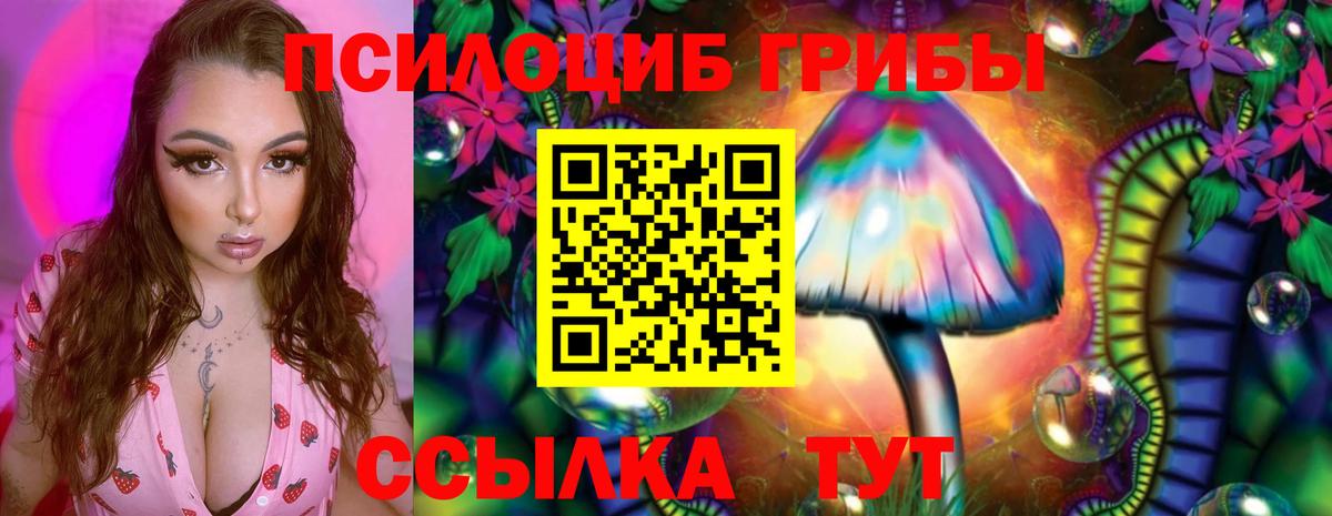 Псилоцибиновые грибы мухоморы Семёнов
