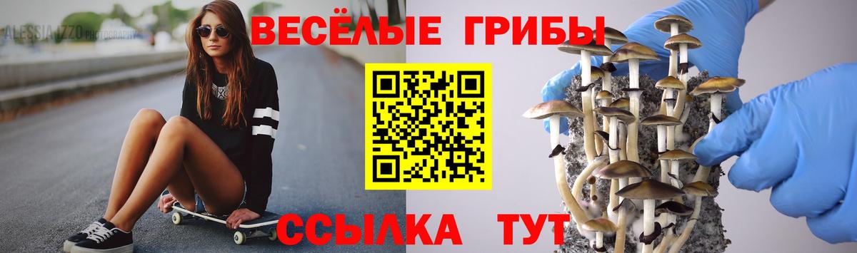 Галлюциногенные грибы Psilocybe  Вход с VPN  Семёнов 